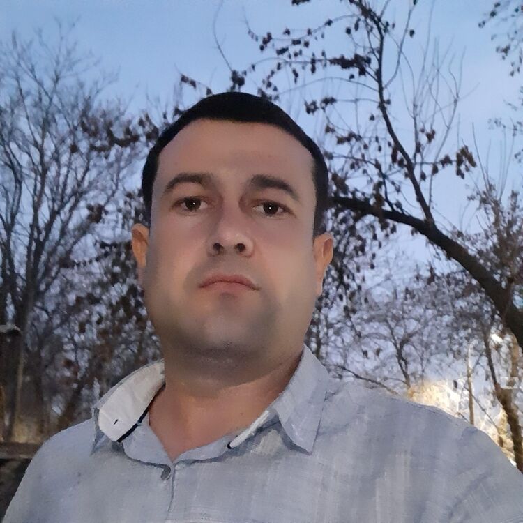  50800924  Shavkat, 29 ,    