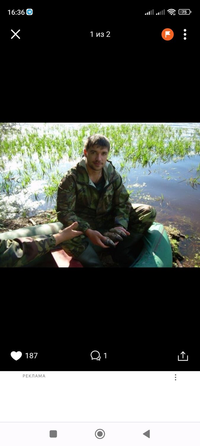 ���� 35966684 ������� ������, 36 ���, ���� ���������� � ������������