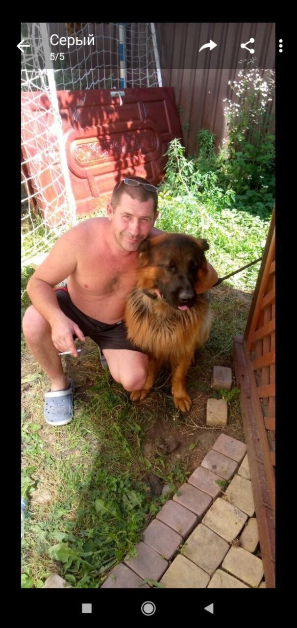 ���������� ����, ���� ������� �������, 29 ���, ������������ ��� ������, ����� � ���������