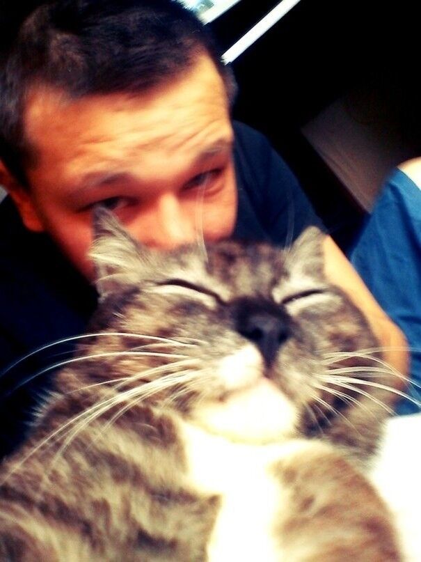 ���� 11805874 ������� Iggi, 32 ����, ���� ���������� � ������