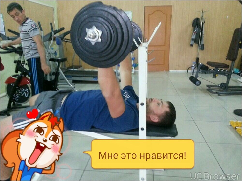  7977244  , 37 ,    
