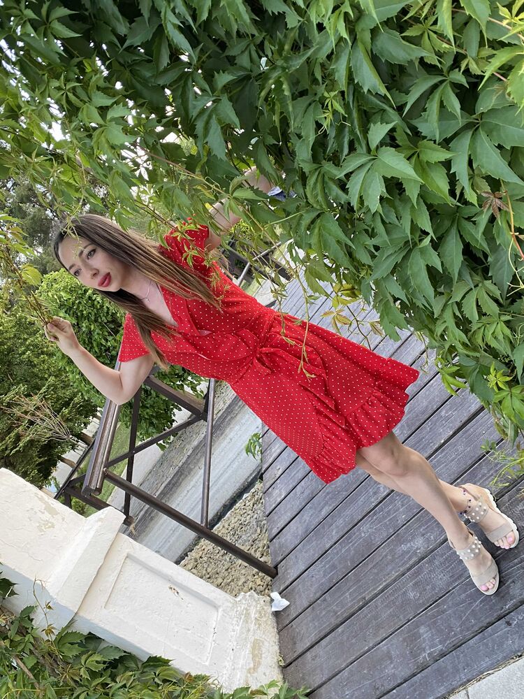 ���������� �����-���������, ���� ������� ����, 33 ����, ������������ ��� ����� � ���������, c�������� ���������