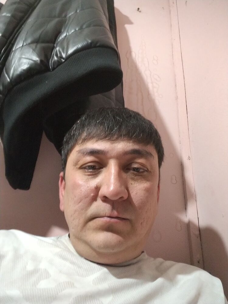 47502644  , 38 ,    