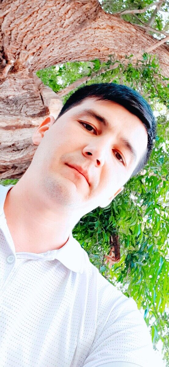  20553944  SARDOR, 32 ,    