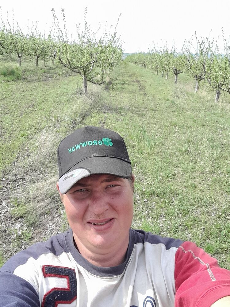 ���� 42824454 ������� ����, 31 ���, ���� ���������� � ��������