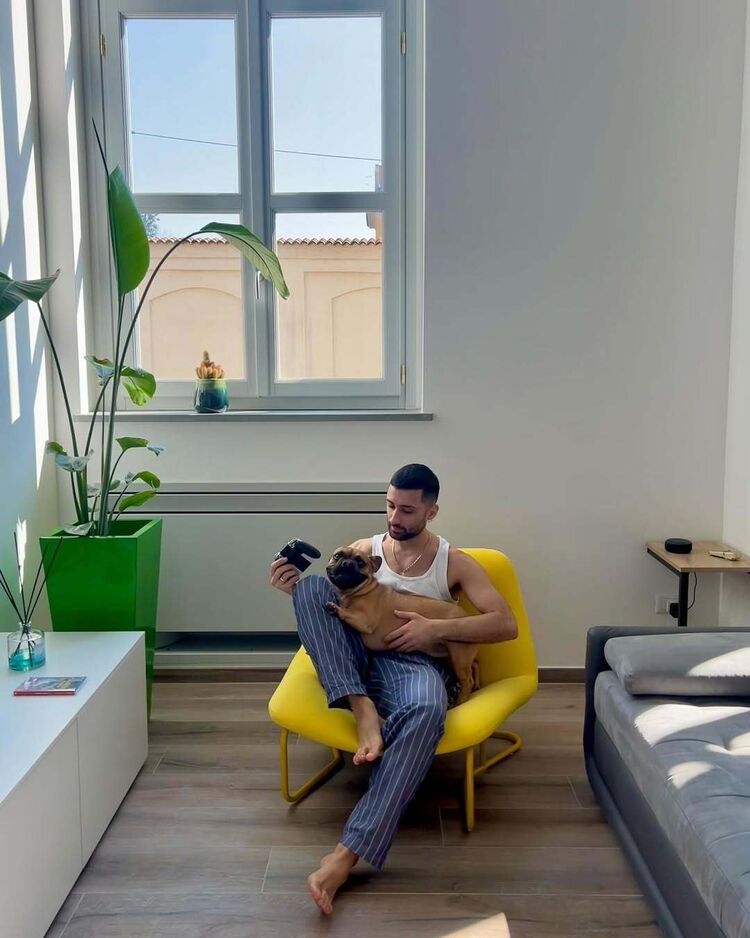 ���� 50788184 ������� �������, 36 ���, ���� ���������� � �����������