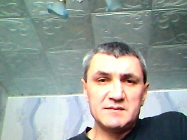  42361024  , 51 ,    