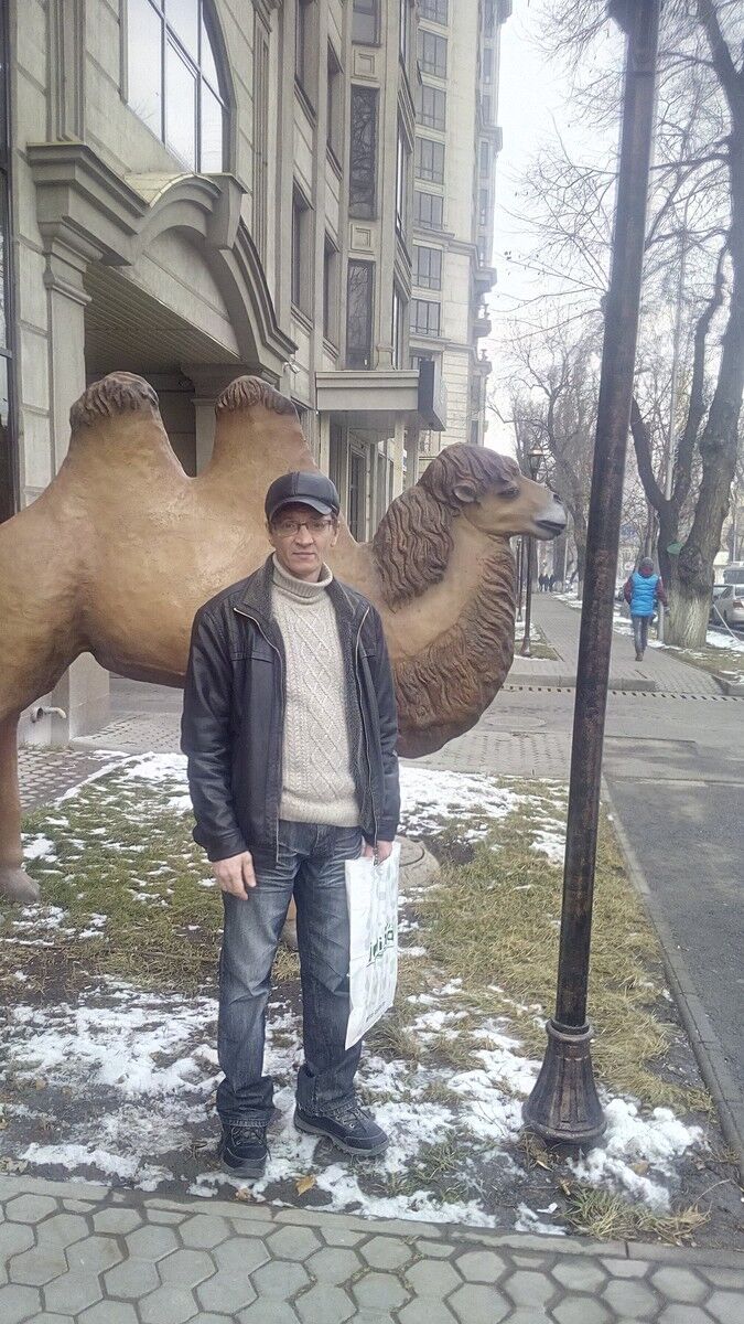 ���� 16345974 ������� ��������, 51 ���, ���� ���������� � ���������