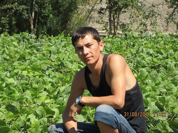  4099484  NAZIM, 43 ,    