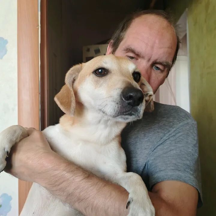  53618214  Arthur, 55 ,    