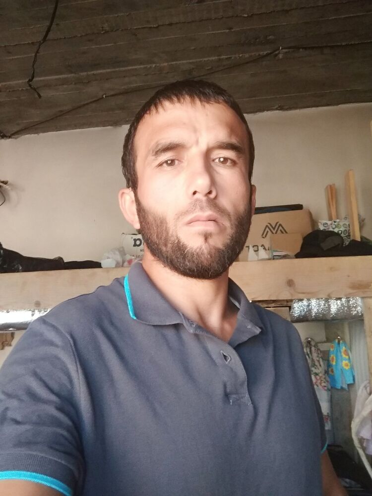  17388764  , 43 ,    