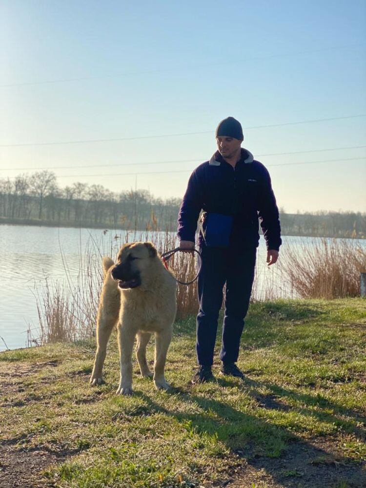 ���� 24547524 ������� ������, 43 ����, ���� ���������� � ������