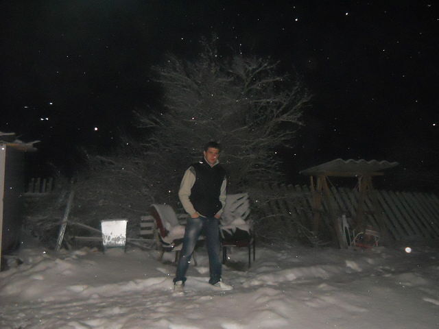 ���� 10156604 ������� ���������, 36 ���, ���� ���������� � ������������