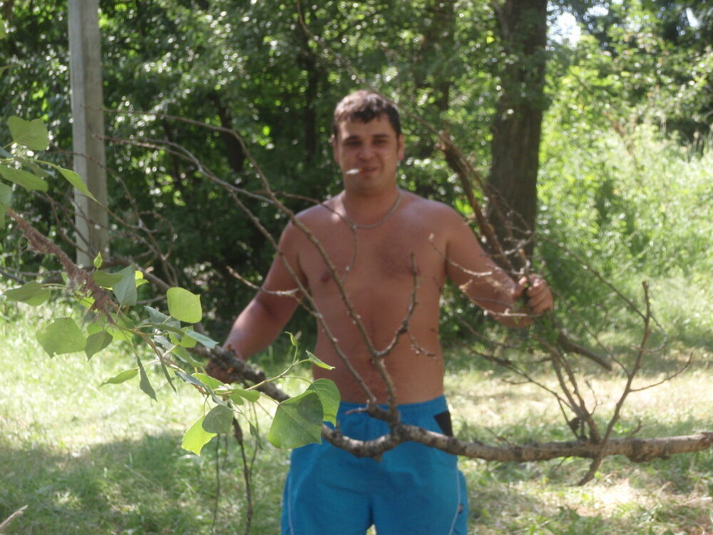 ���� 12022944 ������� �������, 40 ���, ���� ���������� � ���������������