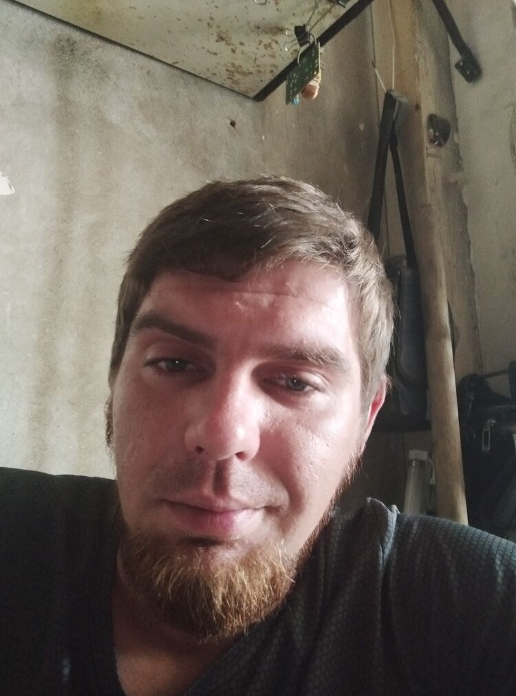  38116804  , 33 ,    