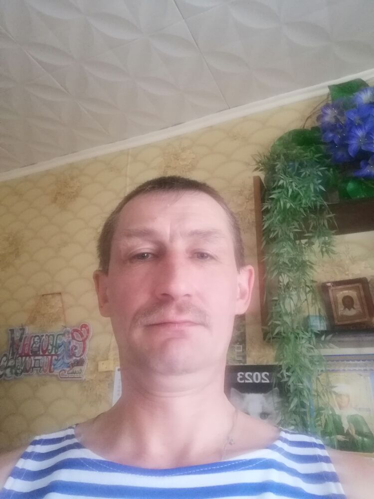  33099304  , 49 ,    