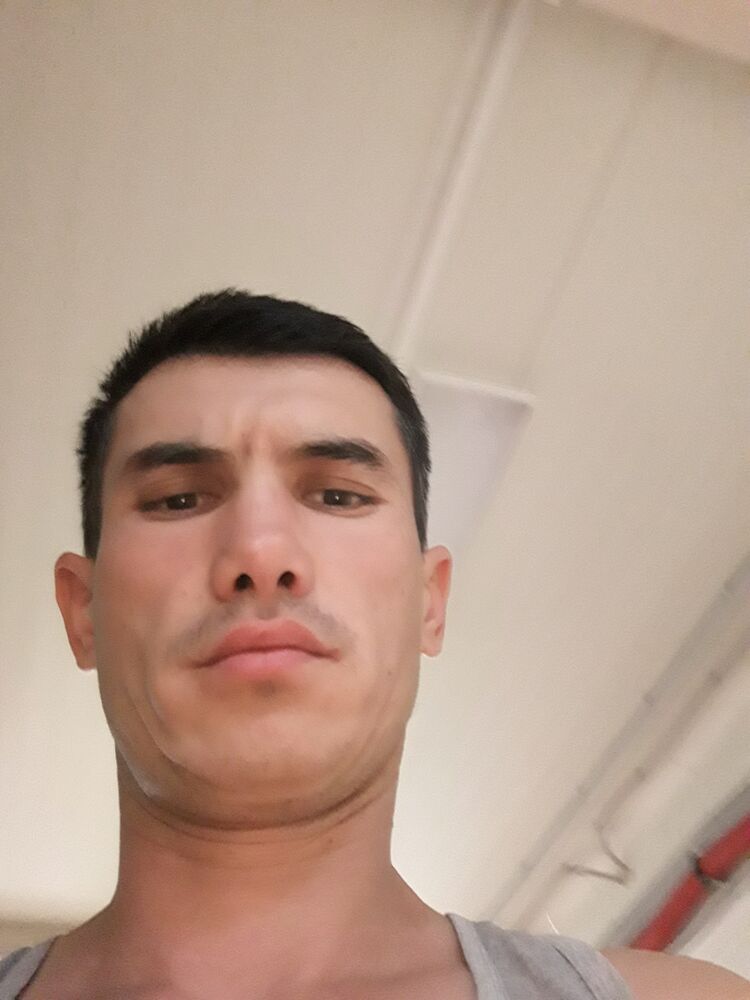  48460394  , 31 ,    
