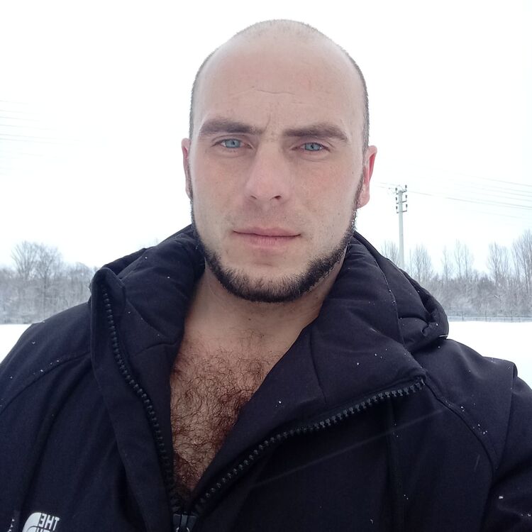 31092284  , 32 ,     