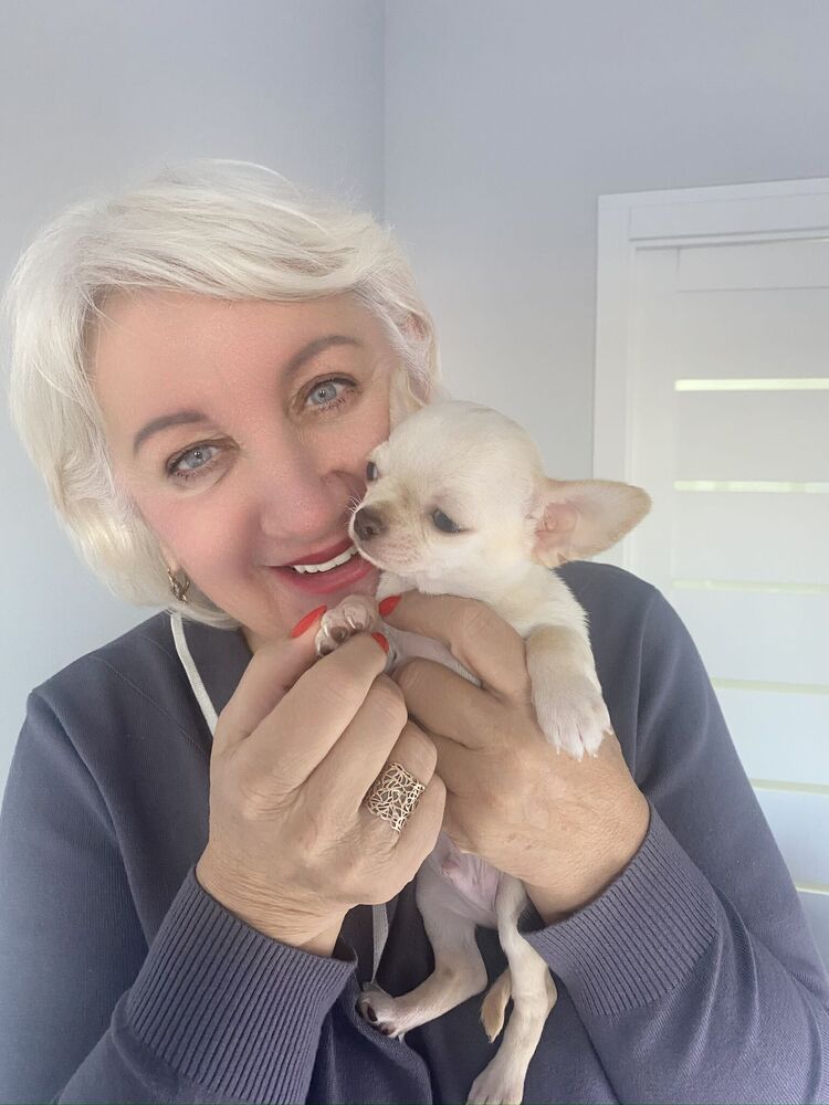 ���� 55749794 ������� �����, 59 ���, ���� ���������� � �����������