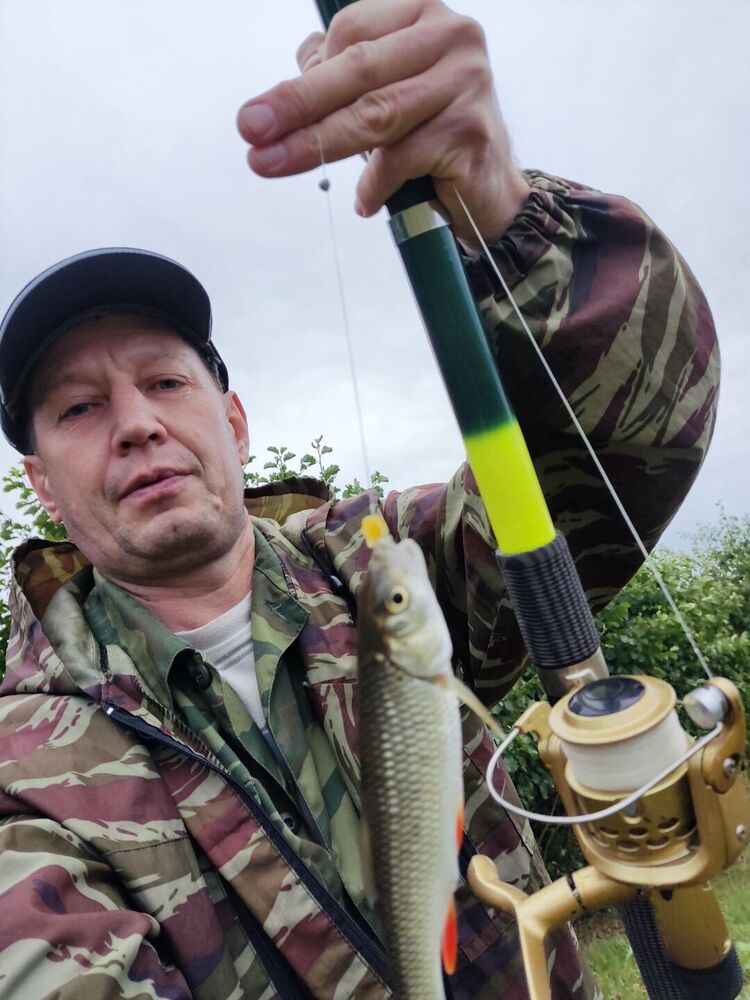 ���� 29499694 ������� �������, 50 ���, ���� ���������� � ����������