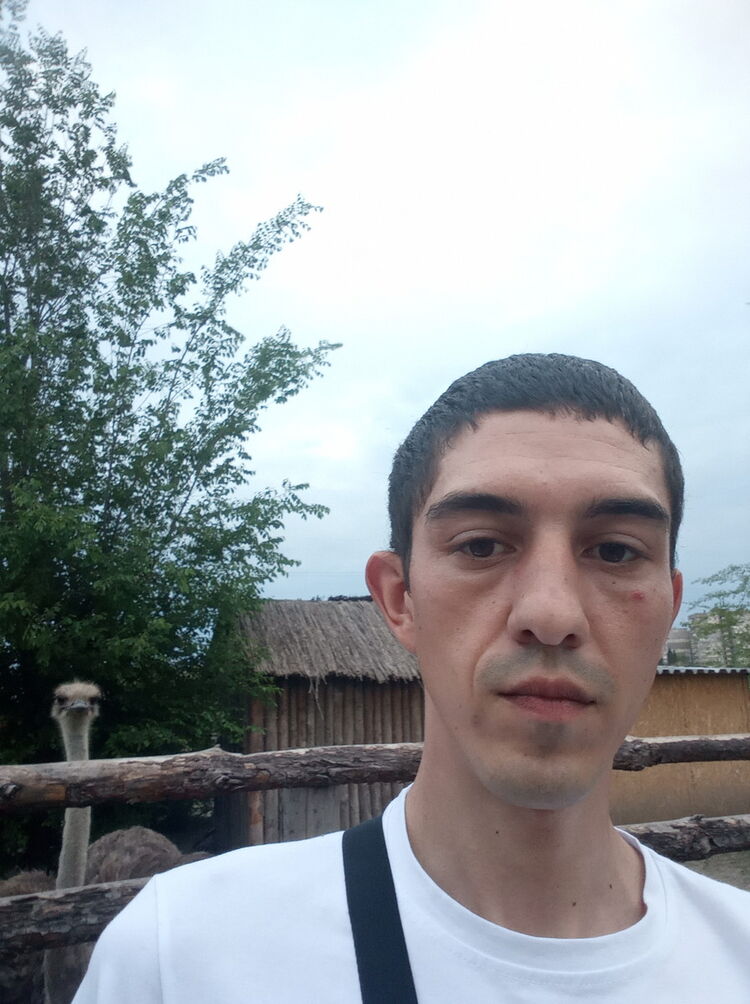  16336854  , 37 ,    