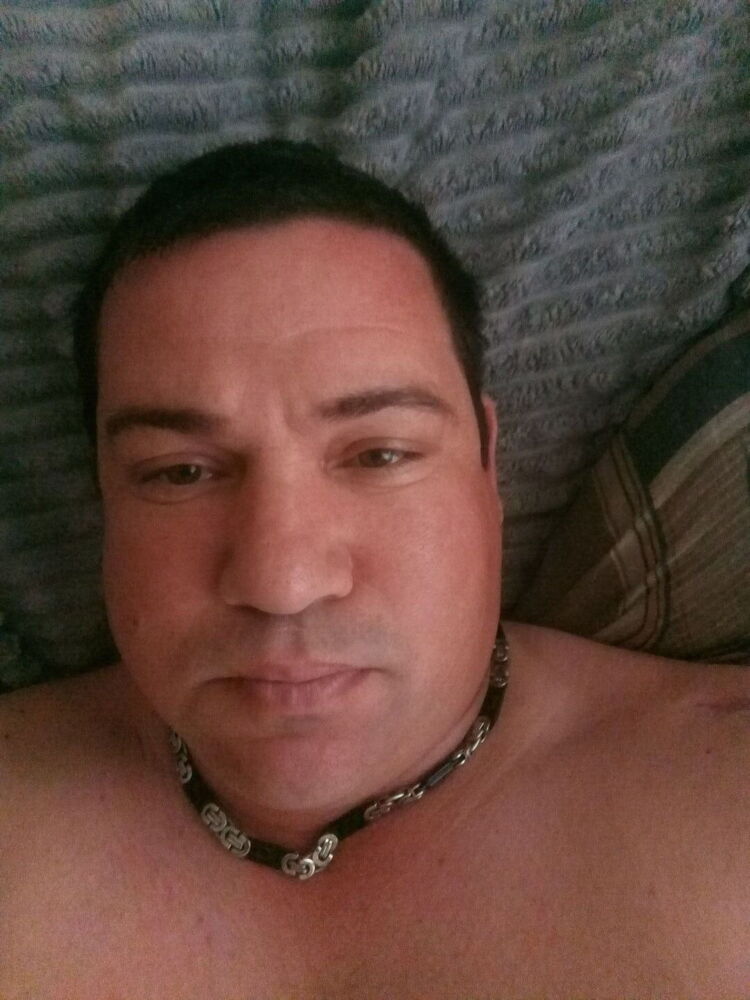  26291214  , 41 ,    