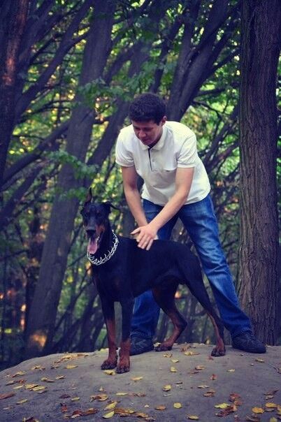 ���� 11211984 ������� ����, 34 ����, ���� ���������� � �����