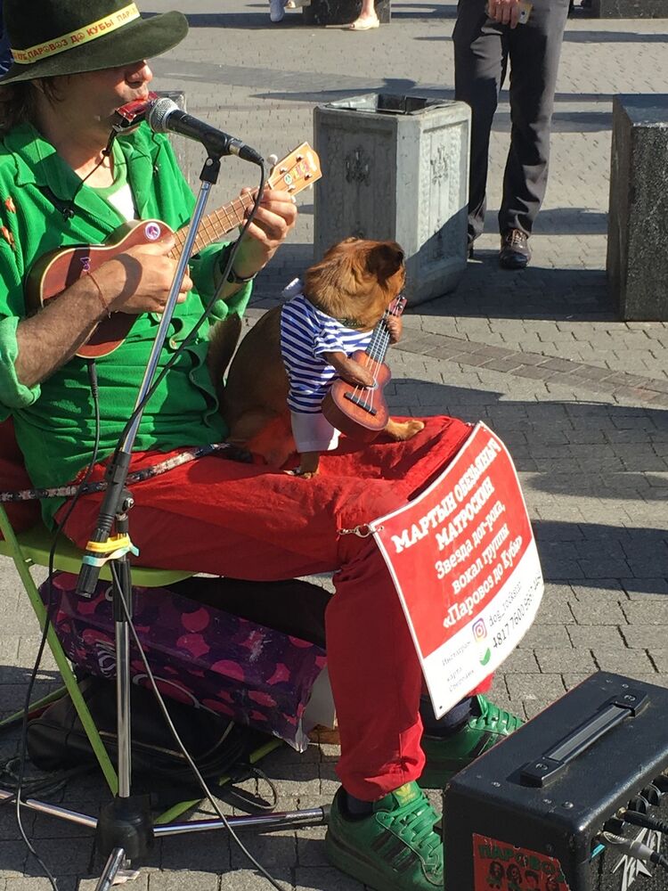 ���� 16393044 ������� ������, 31 ���, ���� ���������� � �����-����������