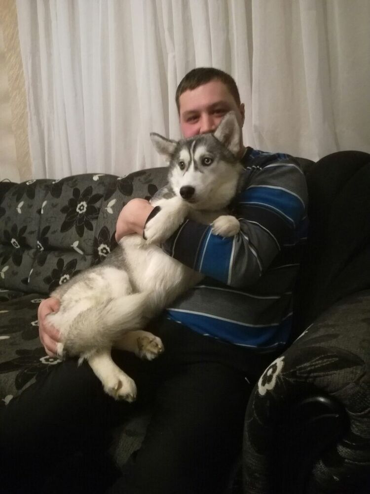  ,   Albert, 35 ,   ,   , c 