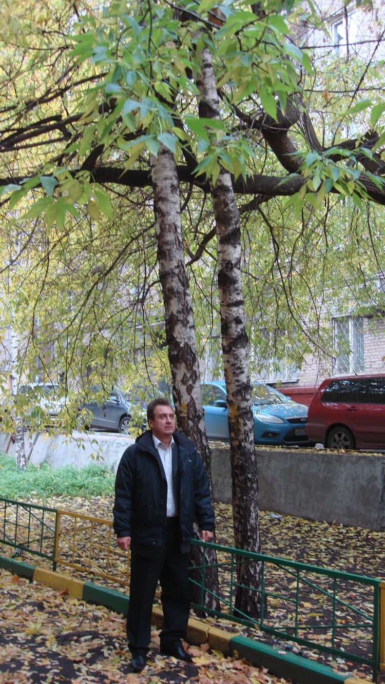 ���� 55988524 ������� �������, 60 ���, ���� ���������� � ������ ���������