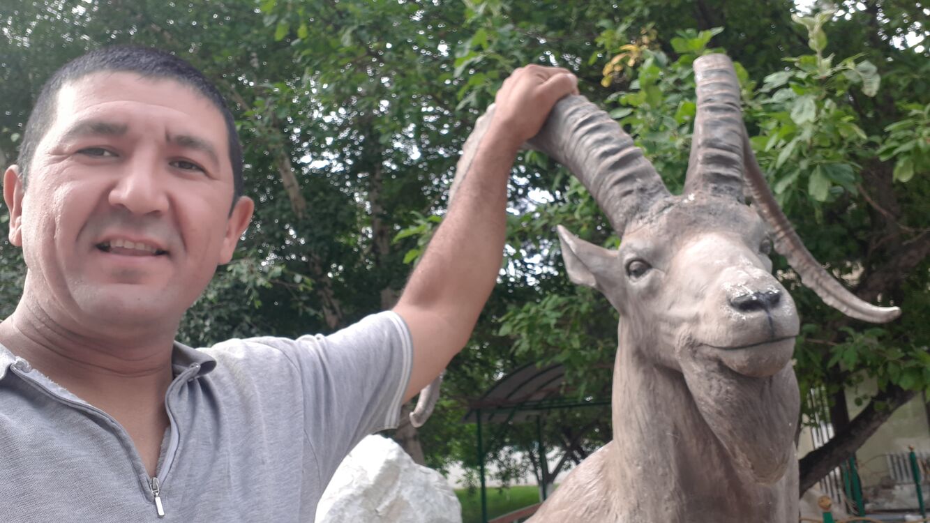 ���� 26088374 ������� �����, 43 ����, ���� ���������� � ������