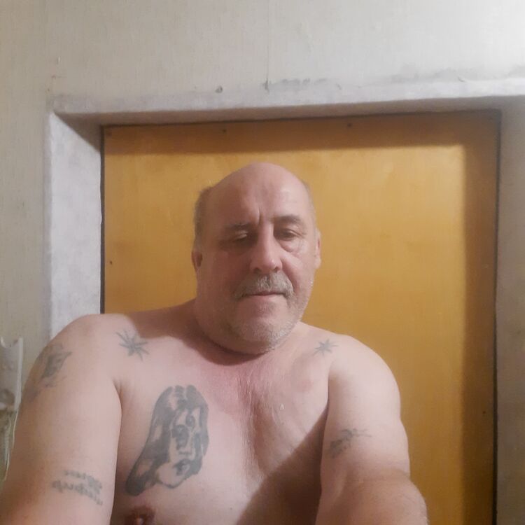  39741514  , 64 ,    