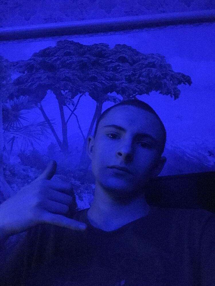  48799884  , 18 ,    