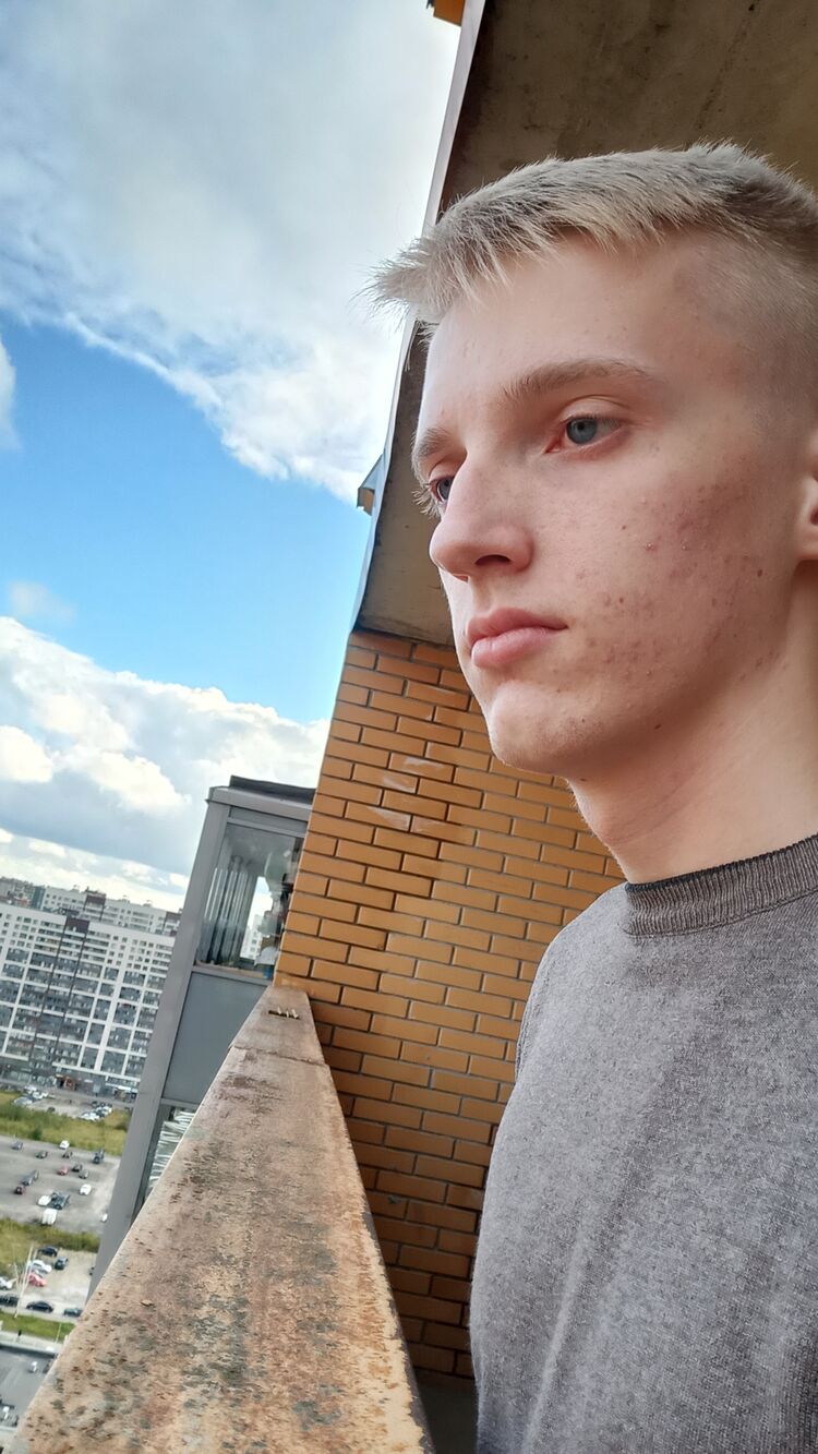  29310854  , 24 ,    -