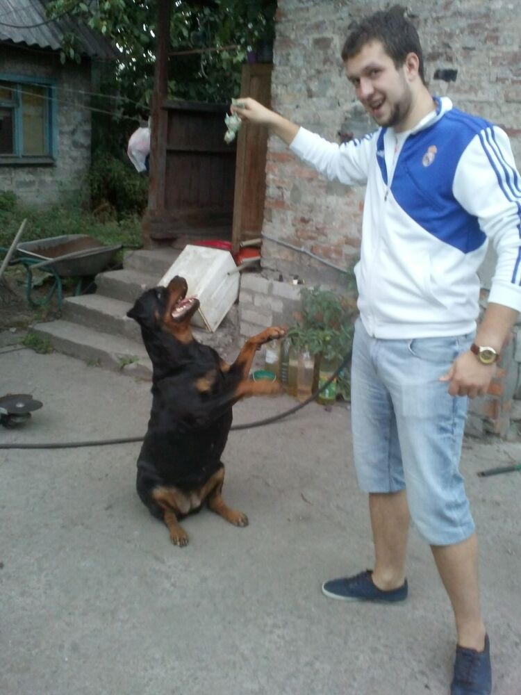 ���� 5026894 ������� ���������, 34 ����, ���� ���������� � ���������������