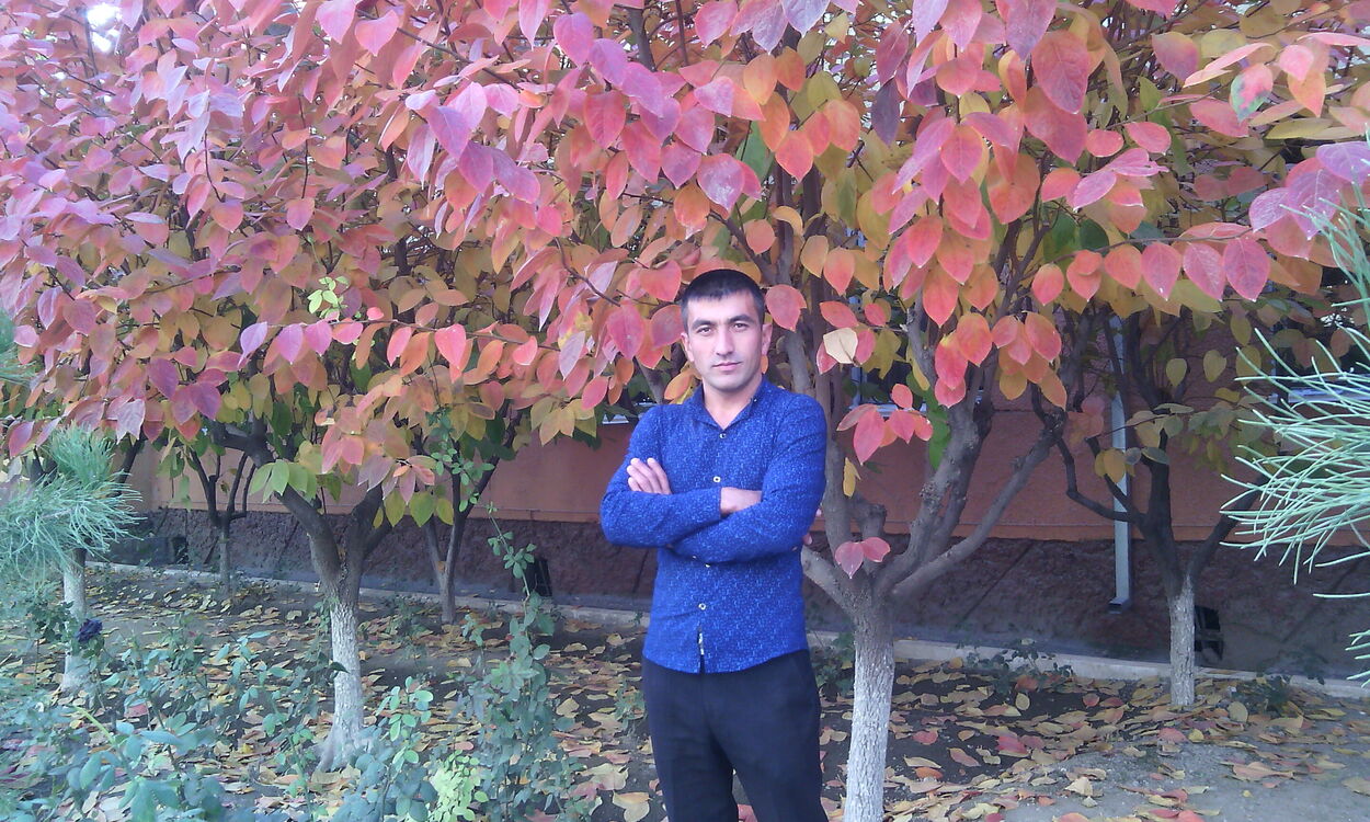 ���������� ������, ���� ������� � _ �, 41 ���, ������������ ��� ������, ����� � ���������