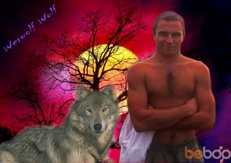  ,   Werwolfwolf, 41 ,   ,   , c 