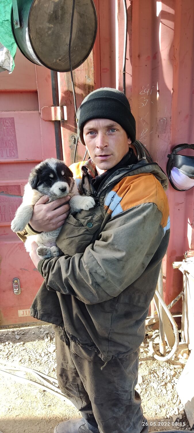 ���������� ���������, ���� ������� ������, 41 ���, ������������ ��� ������, ����� � ���������, ���������