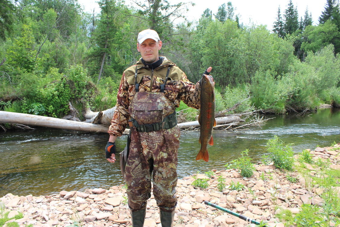 ���� 15364104 ������� ��������, 44 ����, ���� ���������� � ��������