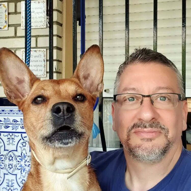 ���� 53516774 ������� ������, 48 ���, ���� ���������� � �����������