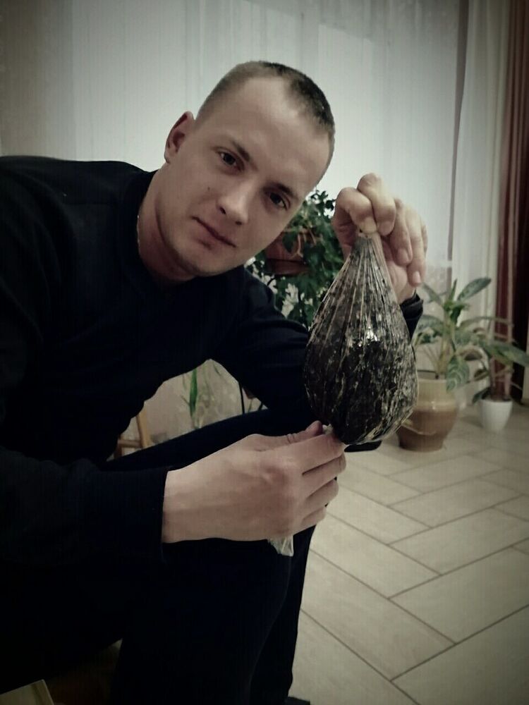 ���������� ������ �����, ���� ������� �����, 33 ����, ������������ ��� ������, ����� � ���������, c�������� ���������