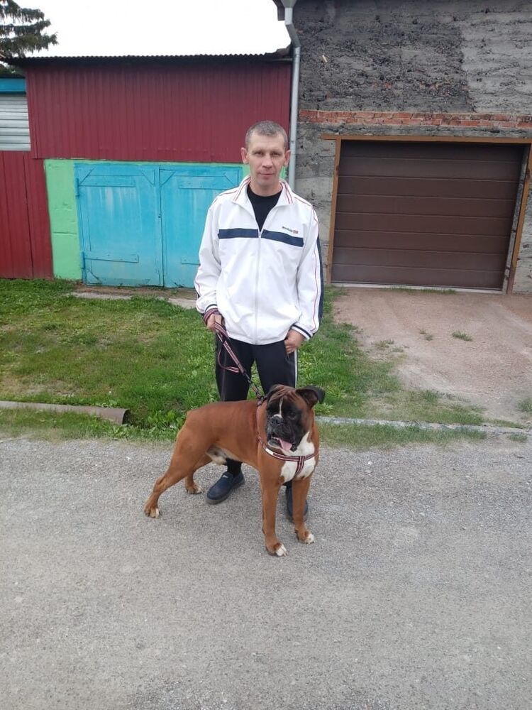 ���� 32073884 ������� �����, 45 ���, ���� ���������� � ������������