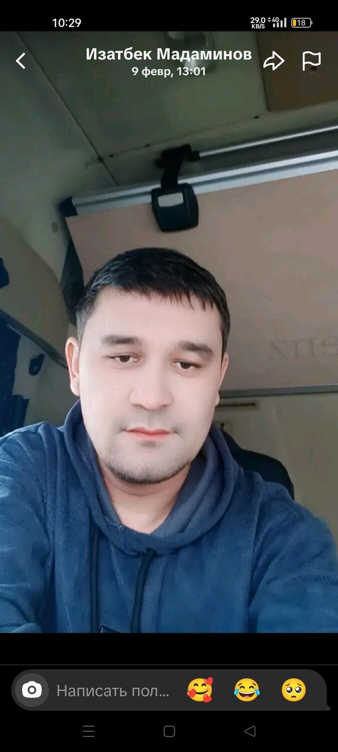  50531484  , 33 ,    