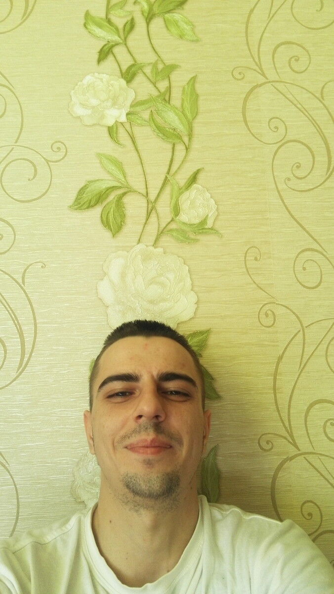 ���� 11791664 ������� Volf, 37 ���, ���� ���������� � ������