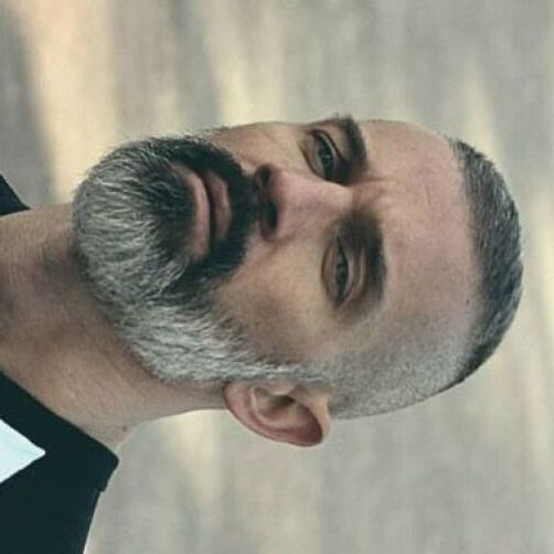  ,   Art, 46 ,   ,   