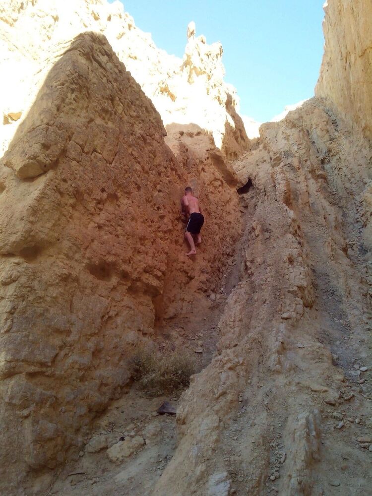 ���������� �����-���������, ���� ������� ��������, 33 ����, ������������ ��� ������, ����� � ���������, c�������� ���������