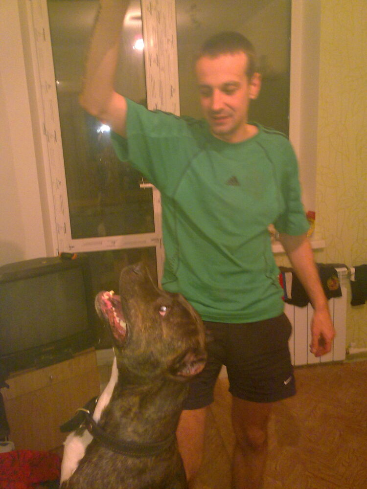 ���������� ������, ���� ������� �����, 44 ����, ������������ ��� ������