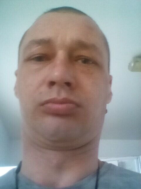  33274634  , 38 ,    