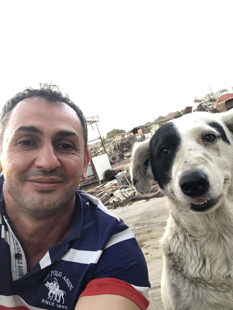  ,   , 44 ,   ,   