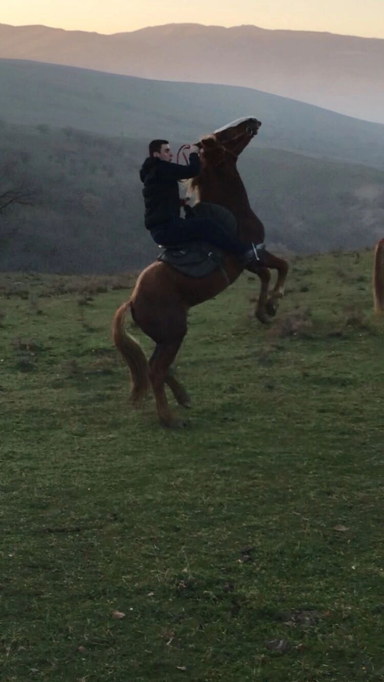 ���������� ������, ���� ������� ����, 31 ���, ������������ ��� ������, ����� � ���������